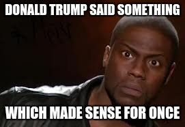 Trump amazes Kevin Hart | DONALD TRUMP SAID SOMETHING; WHICH MADE SENSE FOR ONCE | image tagged in memes,kevin hart the hell | made w/ Imgflip meme maker