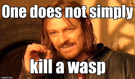 One Does Not Simply | image tagged in memes,one does not simply | made w/ Imgflip meme maker