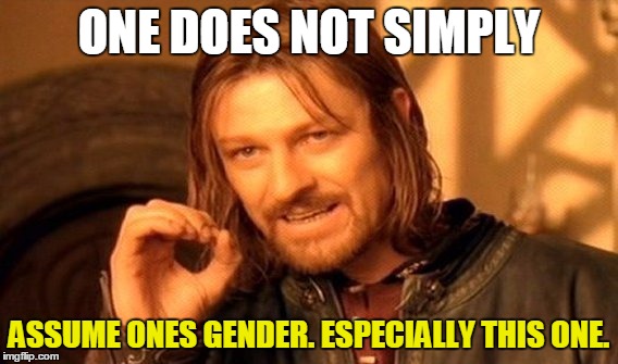 One Does Not Simply Meme | ONE DOES NOT SIMPLY ASSUME ONES GENDER. ESPECIALLY THIS ONE. | image tagged in memes,one does not simply | made w/ Imgflip meme maker