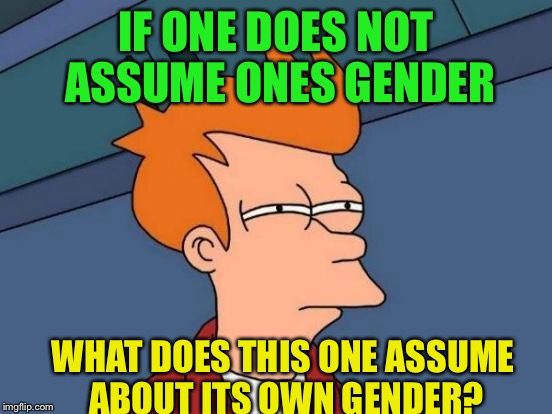 Futurama Fry Meme | IF ONE DOES NOT ASSUME ONES GENDER WHAT DOES THIS ONE ASSUME ABOUT ITS OWN GENDER? | image tagged in memes,futurama fry | made w/ Imgflip meme maker