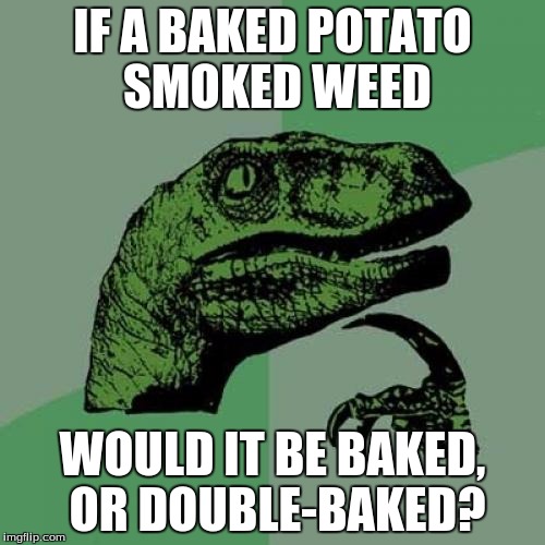 Philosoraptor | IF A BAKED POTATO SMOKED WEED; WOULD IT BE BAKED, OR DOUBLE-BAKED? | image tagged in memes,philosoraptor | made w/ Imgflip meme maker