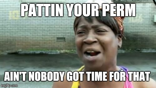 Ain't Nobody Got Time For That Meme | PATTIN YOUR PERM AIN'T NOBODY GOT TIME FOR THAT | image tagged in memes,aint nobody got time for that | made w/ Imgflip meme maker