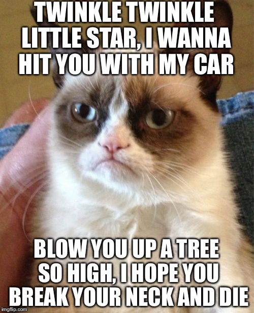 Grumpy Cat | TWINKLE TWINKLE LITTLE STAR, I WANNA HIT YOU WITH MY CAR; BLOW YOU UP A TREE SO HIGH, I HOPE YOU BREAK YOUR NECK AND DIE | image tagged in memes,grumpy cat | made w/ Imgflip meme maker