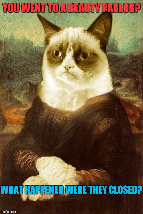 Grumpy Cat Mona Lisa | YOU WENT TO A BEAUTY PARLOR? WHAT HAPPENED WERE THEY CLOSED? | image tagged in grumpy cat 1,grumpy cat,google images,pinterest | made w/ Imgflip meme maker