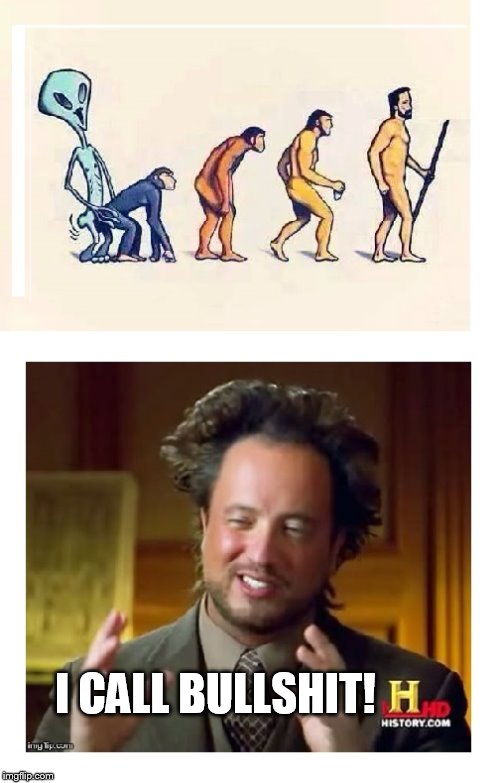 Alt History Channel | I CALL BULLSHIT! | image tagged in ancient aliens guy | made w/ Imgflip meme maker