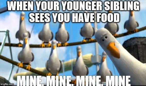 meme 1 | WHEN YOUR YOUNGER SIBLING SEES YOU HAVE FOOD; MINE, MINE, MINE, MINE | image tagged in funny memes | made w/ Imgflip meme maker