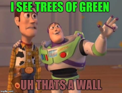 Trump's Dream  | I SEE TREES OF GREEN; UH THATS A WALL | image tagged in memes,x x everywhere | made w/ Imgflip meme maker