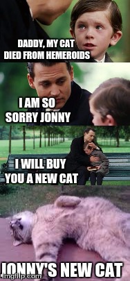 Jonny's new cat | DADDY, MY CAT DIED FROM HEMEROIDS; I AM SO SORRY JONNY; I WILL BUY YOU A NEW CAT; JONNY'S NEW CAT | image tagged in finding neverland,dead cat | made w/ Imgflip meme maker