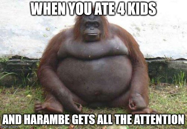The Poor Thing |  WHEN YOU ATE 4 KIDS; AND HARAMBE GETS ALL THE ATTENTION | image tagged in memes,harambe,fat,monkey | made w/ Imgflip meme maker