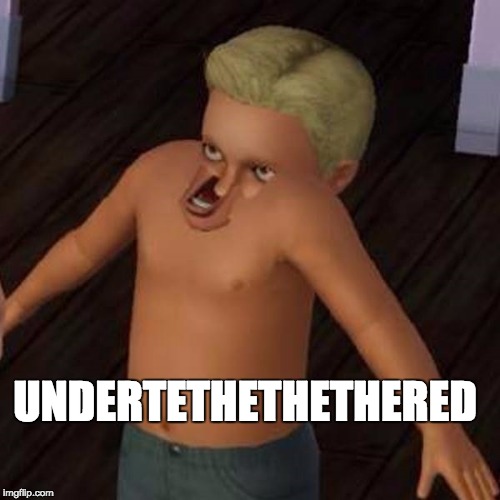 1klm4y.jpg