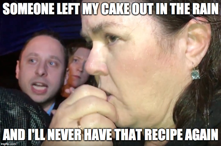 Lafayette Park is melting | SOMEONE LEFT MY CAKE OUT IN THE RAIN; AND I'LL NEVER HAVE THAT RECIPE AGAIN | image tagged in rosie o'donnell | made w/ Imgflip meme maker
