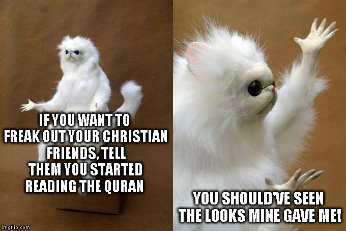 They looked at me like I was Hitler | IF YOU WANT TO FREAK OUT YOUR CHRISTIAN FRIENDS, TELL THEM YOU STARTED READING THE QURAN; YOU SHOULD'VE SEEN THE LOOKS MINE GAVE ME! | image tagged in memes,persian cat room guardian,quran,christians | made w/ Imgflip meme maker