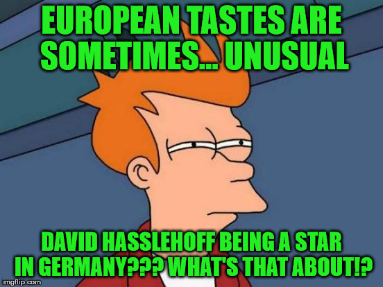 Futurama Fry Meme | EUROPEAN TASTES ARE SOMETIMES... UNUSUAL DAVID HASSLEHOFF BEING A STAR IN GERMANY??? WHAT'S THAT ABOUT!? | image tagged in memes,futurama fry | made w/ Imgflip meme maker