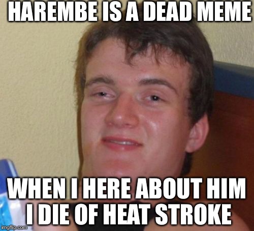 10 Guy Meme | HAREMBE IS A DEAD MEME; WHEN I HERE ABOUT HIM I DIE OF HEAT STROKE | image tagged in memes,10 guy | made w/ Imgflip meme maker