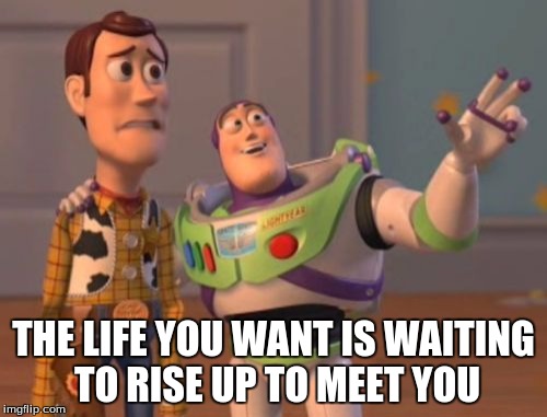 X, X Everywhere Meme | THE LIFE YOU WANT IS WAITING TO RISE UP TO MEET YOU | image tagged in memes,x x everywhere | made w/ Imgflip meme maker