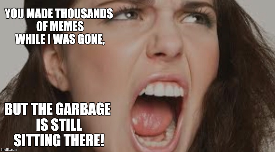 YOU MADE THOUSANDS OF MEMES WHILE I WAS GONE, BUT THE GARBAGE IS STILL SITTING THERE! | made w/ Imgflip meme maker