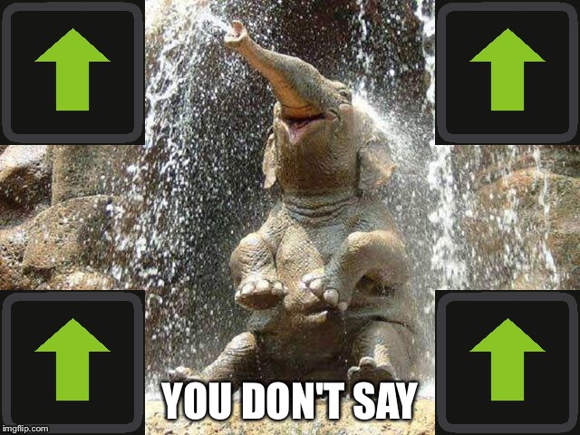 Upvote Elephant | YOU DON'T SAY | image tagged in upvote elephant | made w/ Imgflip meme maker