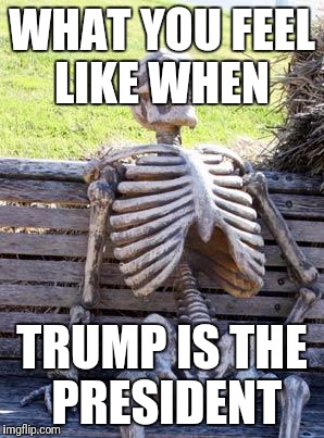 Waiting Skeleton | WHAT YOU FEEL LIKE WHEN; TRUMP IS THE PRESIDENT | image tagged in memes,waiting skeleton | made w/ Imgflip meme maker