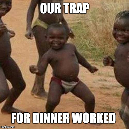 Third World Success Kid Meme | OUR TRAP FOR DINNER WORKED | image tagged in memes,third world success kid | made w/ Imgflip meme maker