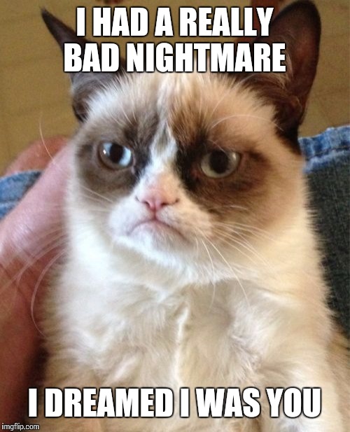 Grumpy Cat | I HAD A REALLY BAD NIGHTMARE; I DREAMED I WAS YOU | image tagged in memes,grumpy cat | made w/ Imgflip meme maker