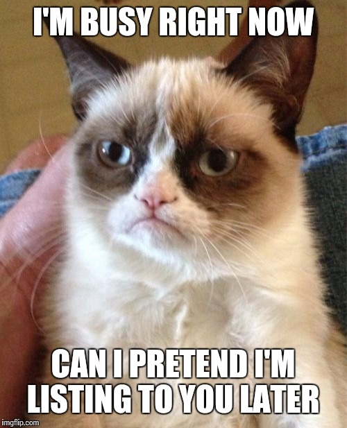 Grumpy Cat Meme | I'M BUSY RIGHT NOW; CAN I PRETEND I'M LISTING TO YOU LATER | image tagged in memes,grumpy cat | made w/ Imgflip meme maker