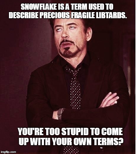 Fixed2 | SNOWFLAKE IS A TERM USED TO DESCRIBE PRECIOUS FRAGILE LIBTARDS. YOU'RE TOO STUPID TO COME UP WITH YOUR OWN TERMS? | image tagged in fixed2 | made w/ Imgflip meme maker