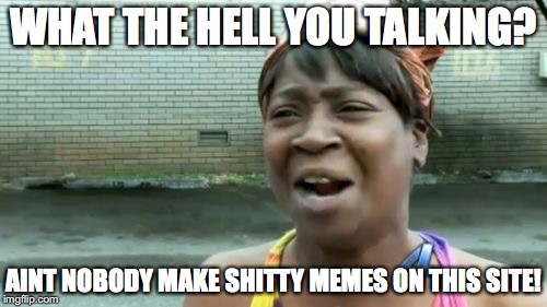 Ain't Nobody Got Time For That | WHAT THE HELL YOU TALKING? AINT NOBODY MAKE SHITTY MEMES ON THIS SITE! | image tagged in memes,aint nobody got time for that | made w/ Imgflip meme maker