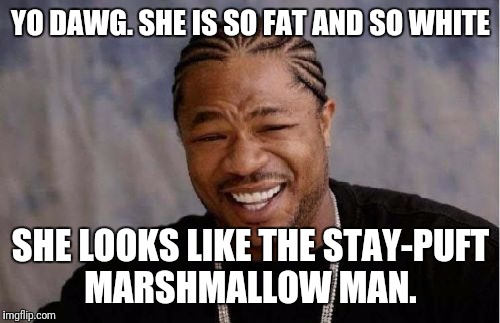 Yo Dawg Heard You Meme | YO DAWG. SHE IS SO FAT AND SO WHITE SHE LOOKS LIKE THE STAY-PUFT MARSHMALLOW MAN. | image tagged in memes,yo dawg heard you | made w/ Imgflip meme maker