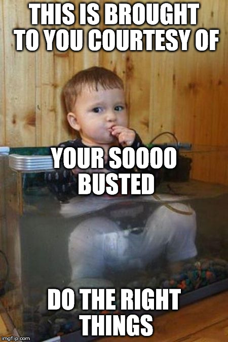 Your So Busted | THIS IS BROUGHT TO YOU COURTESY OF; YOUR SOOOO BUSTED; DO THE RIGHT THINGS | image tagged in you're doing it wrong,i have no idea what i am doing,why am i doing this,what am i doing with my life,dumb ginger | made w/ Imgflip meme maker