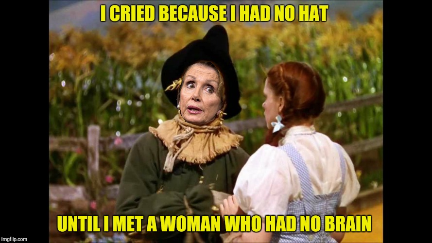 Y u no support widow? | I CRIED BECAUSE I HAD NO HAT; UNTIL I MET A WOMAN WHO HAD NO BRAIN | image tagged in nancy pelosi,wizard of oz | made w/ Imgflip meme maker