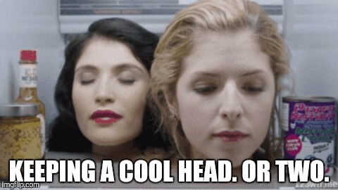 Anna Kendrick  | KEEPING A COOL HEAD. OR TWO. | image tagged in anna kendrick | made w/ Imgflip meme maker