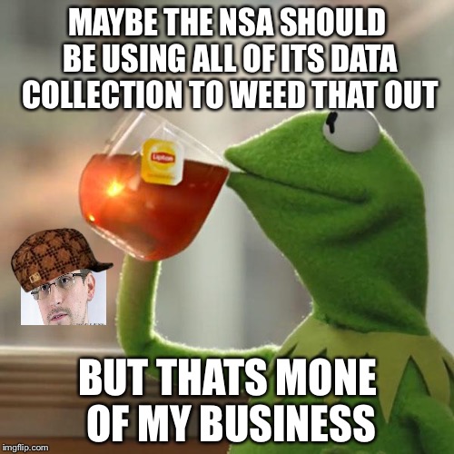 But That's None Of My Business Meme | MAYBE THE NSA SHOULD BE USING ALL OF ITS DATA COLLECTION TO WEED THAT OUT BUT THATS MONE OF MY BUSINESS | image tagged in memes,but thats none of my business,kermit the frog,scumbag | made w/ Imgflip meme maker