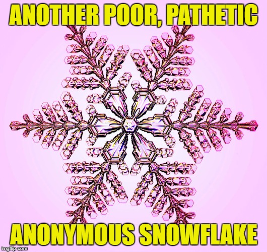 ANOTHER POOR, PATHETIC ANONYMOUS SNOWFLAKE | made w/ Imgflip meme maker