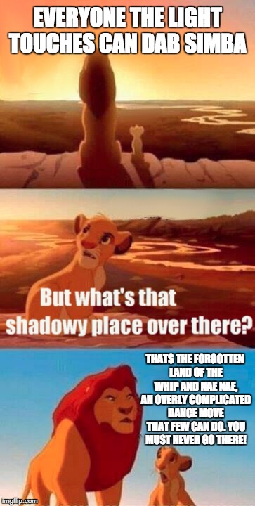Simba Shadowy Place | EVERYONE THE LIGHT TOUCHES CAN DAB SIMBA; THATS THE FORGOTTEN LAND OF THE WHIP AND NAE NAE, AN OVERLY COMPLICATED DANCE MOVE THAT FEW CAN DO. YOU MUST NEVER GO THERE! | image tagged in memes,simba shadowy place | made w/ Imgflip meme maker