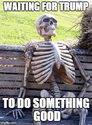 Its true though | WAITING FOR TRUMP; TO DO SOMETHING GOOD | image tagged in memes,waiting skeleton | made w/ Imgflip meme maker