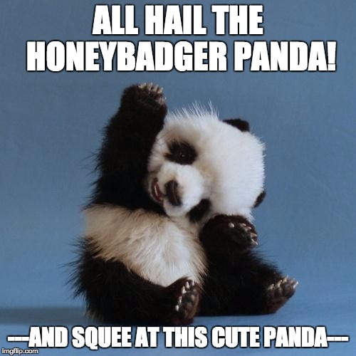 Hi panda | ALL HAIL THE HONEYBADGER PANDA! ---AND SQUEE AT THIS CUTE PANDA--- | image tagged in hi panda | made w/ Imgflip meme maker