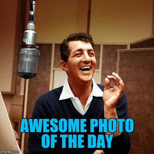 AWESOME PHOTO OF THE DAY | made w/ Imgflip meme maker