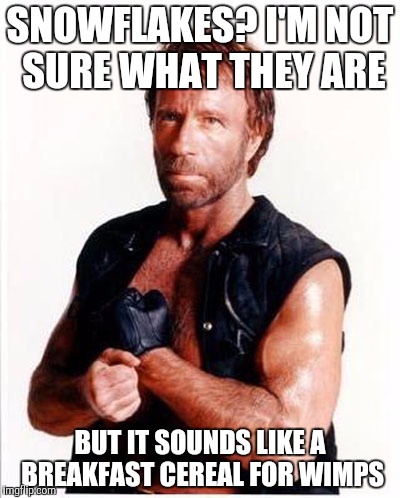 Chuck Norris | SNOWFLAKES? I'M NOT SURE WHAT THEY ARE; BUT IT SOUNDS LIKE A BREAKFAST CEREAL FOR WIMPS | image tagged in chuck norris | made w/ Imgflip meme maker