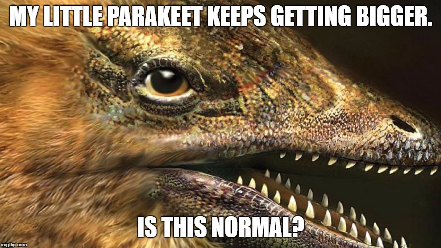 Prime-EVIL parakeet | MY LITTLE PARAKEET KEEPS GETTING BIGGER. IS THIS NORMAL? | image tagged in devil,bird | made w/ Imgflip meme maker