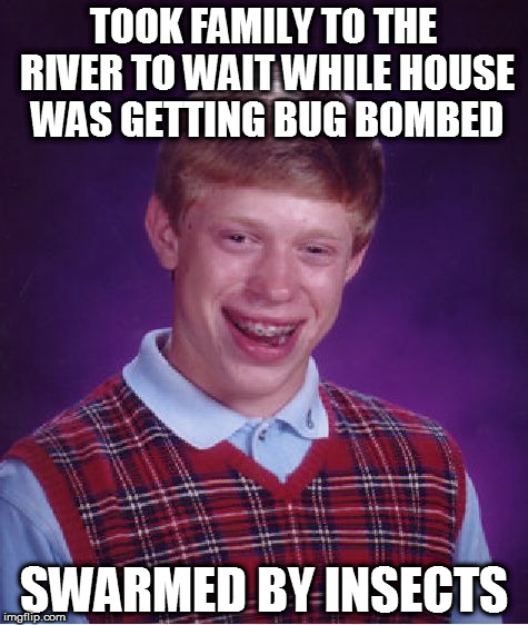 One of those days... | TOOK FAMILY TO THE RIVER TO WAIT WHILE HOUSE WAS GETTING BUG BOMBED; SWARMED BY INSECTS | image tagged in memes,bad luck brian,insects,fml | made w/ Imgflip meme maker