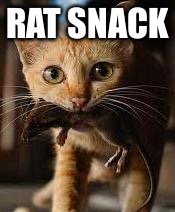 RAT SNACK | made w/ Imgflip meme maker