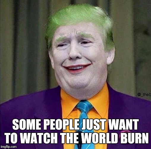 Trump the Joker | SOME PEOPLE JUST WANT TO WATCH THE WORLD BURN | image tagged in trump the joker | made w/ Imgflip meme maker