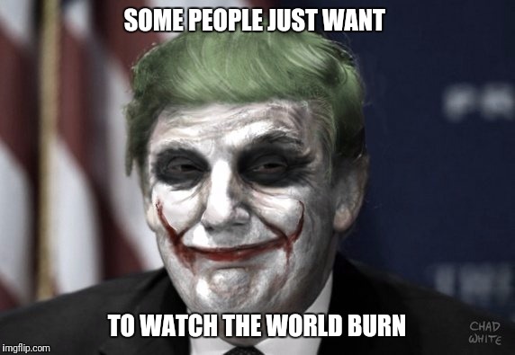 Joker President | SOME PEOPLE JUST WANT; TO WATCH THE WORLD BURN | image tagged in donald trump | made w/ Imgflip meme maker