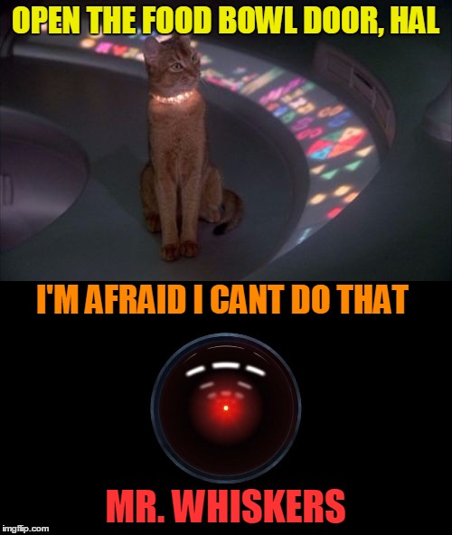 OPEN THE FOOD BOWL DOOR, HAL MR. WHISKERS I'M AFRAID I CANT DO THAT | made w/ Imgflip meme maker