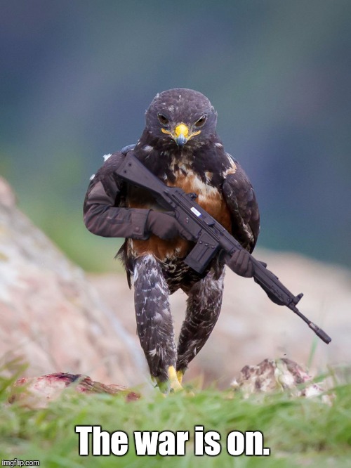 The war is on. | made w/ Imgflip meme maker