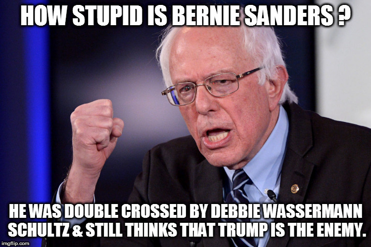 Dumb ass Bernie  | HOW STUPID IS BERNIE SANDERS ? HE WAS DOUBLE CROSSED BY DEBBIE WASSERMANN SCHULTZ & STILL THINKS THAT TRUMP IS THE ENEMY. | image tagged in bernie sanders,donald trump,debbie wasserman schultz,dumbass | made w/ Imgflip meme maker