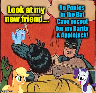 Disclaimer:  This is a meme, no Ponies were hurt in the making of this meme because it's a meme.  Thank You | No Ponies in the Bat Cave except for my Rarity & Applejack! Look at my new friend.... | image tagged in memes,batman slapping robin,evilmandoevil,funny | made w/ Imgflip meme maker