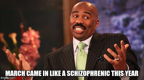 MARCH CAME IN LIKE A SCHIZOPHRENIC THIS YEAR | image tagged in memes,steve harvey | made w/ Imgflip meme maker
