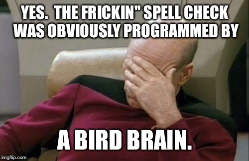 Captain Picard Facepalm Meme | YES.  THE FRICKIN'' SPELL CHECK WAS OBVIOUSLY PROGRAMMED BY A BIRD BRAIN. | image tagged in memes,captain picard facepalm | made w/ Imgflip meme maker