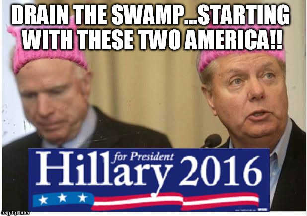 the McCain Graham swamp  | DRAIN THE SWAMP...STARTING WITH THESE TWO AMERICA!! | image tagged in the mccain graham swamp,unamerican,career politicians,hillary supporters | made w/ Imgflip meme maker